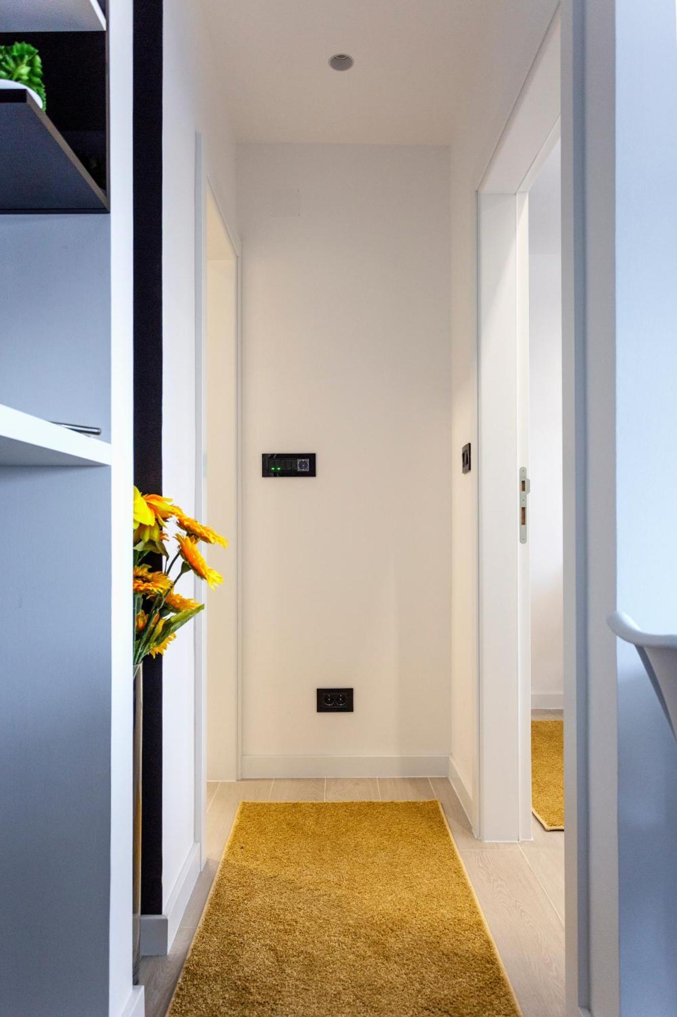 Park Apartment Nowy Sad Zewnętrze zdjęcie